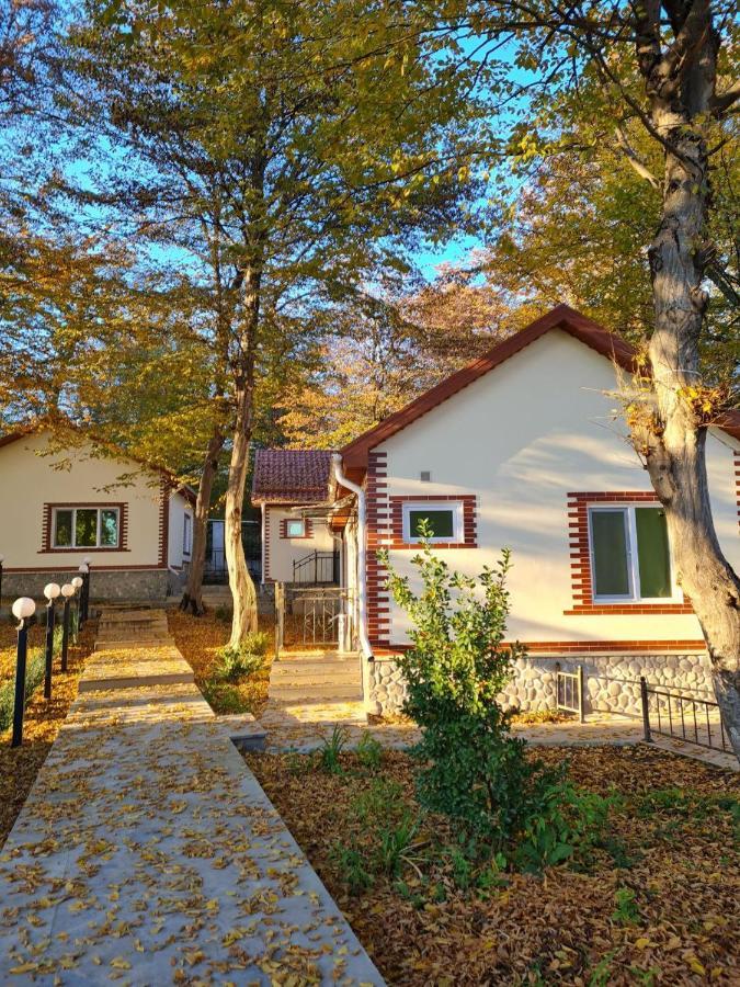 Selena Hotel Кусар Екстериор снимка
